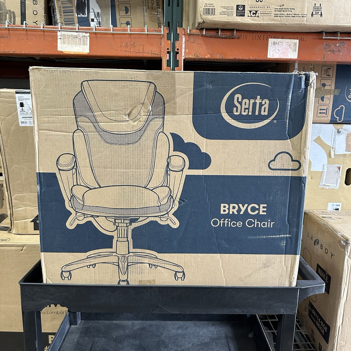 9073853