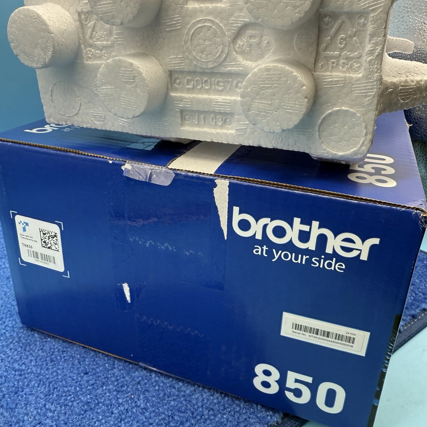 8025731