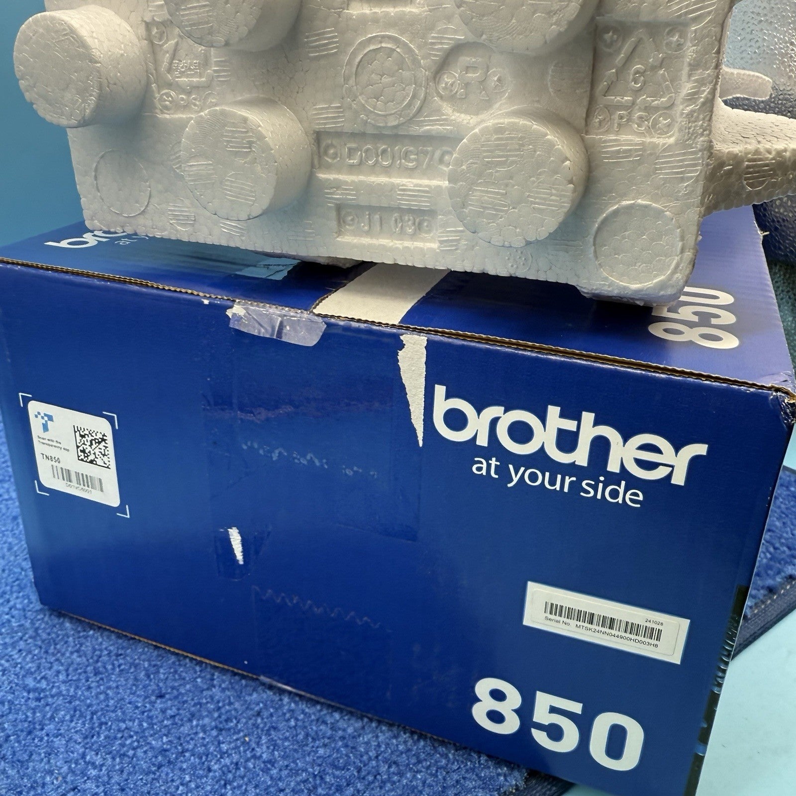 8025731